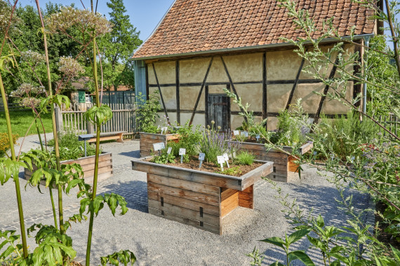 Blick in Kräutergarten mit unterfahrbaren Hochbeeten