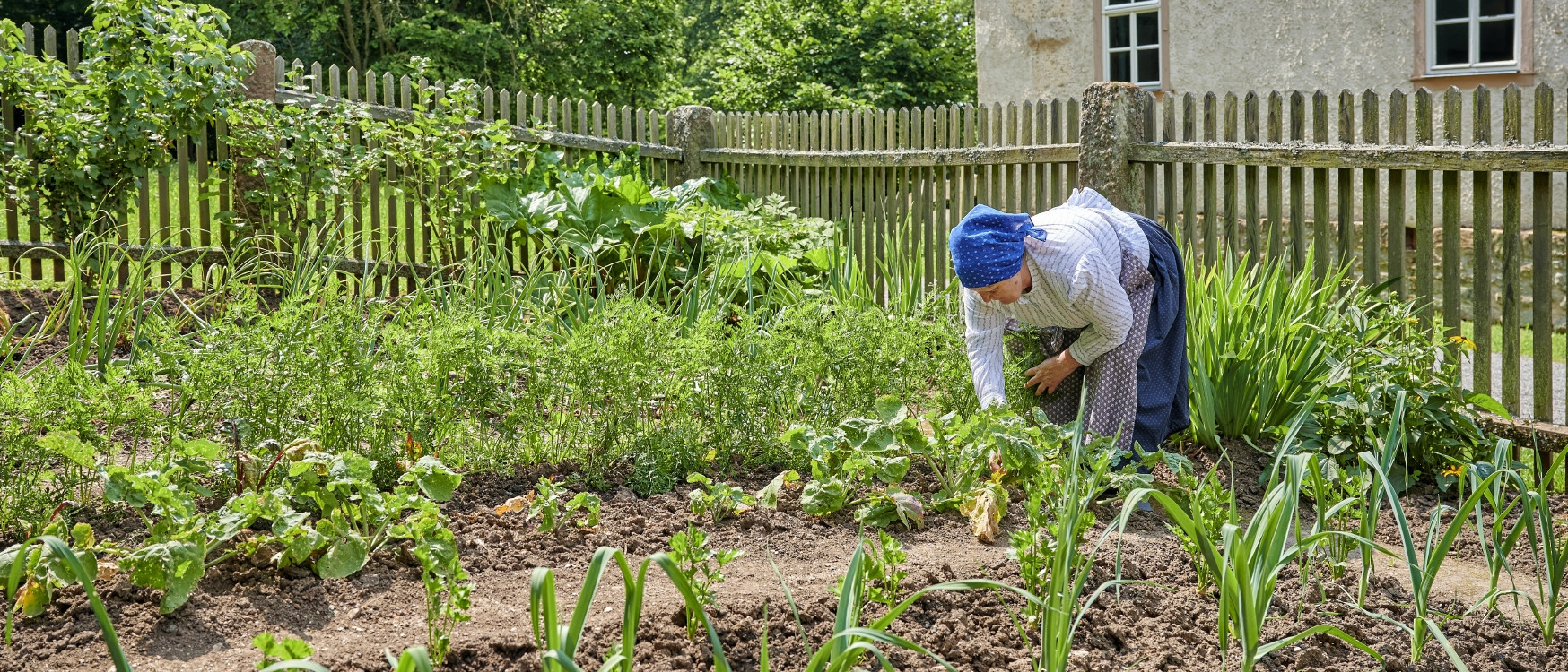 Frau arbeitet im Gemüsegarten