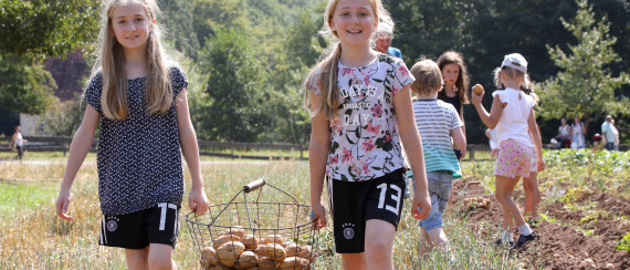 zwei Mädchen tragen gemeinsam einen Drahtkorb voller Kartoffeln