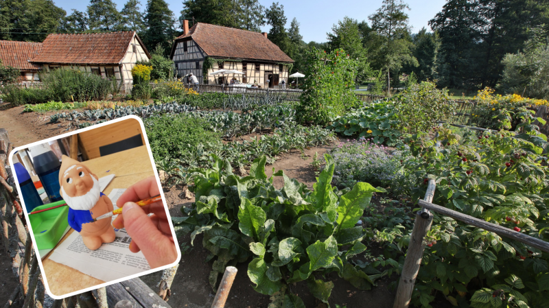Collage aus bemaltem Gartenzwerg und Bauerngarten, im Hintergrund zwei Fachwerkgeb&auml;ude