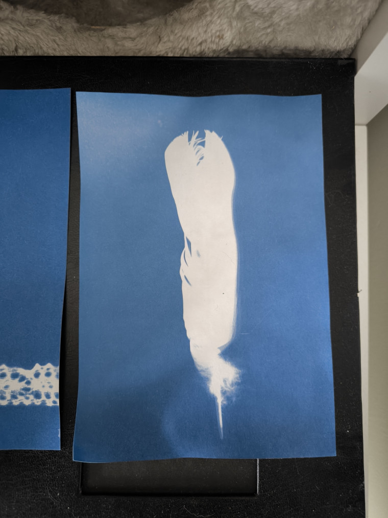 Foto: Carolin Fritze