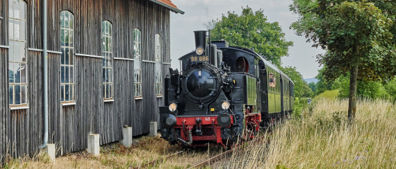 Dampfeisenbahn f&auml;hrt zwischen B&auml;umen und Lokschuppen entlang
