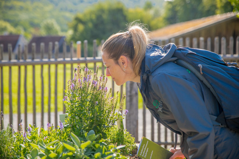 Frau riecht an Kr&auml;utern