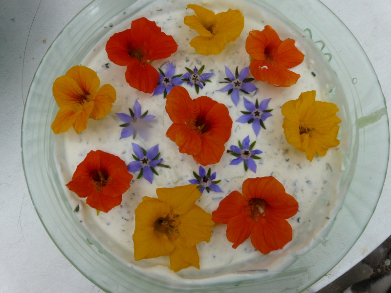 Bunte Bl&uuml;ten auf Kr&auml;uterquark