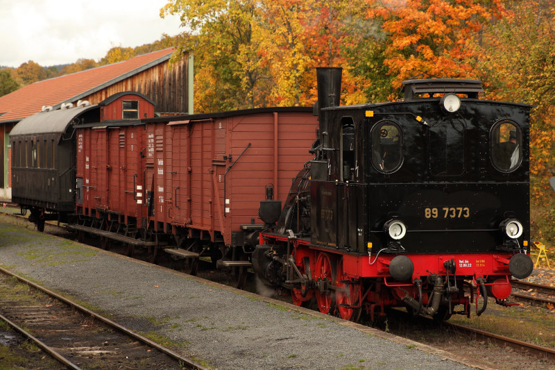 Dampflok mit mehreren Waggons auf dem Gleis vor herbstlich gefärbten Bäumen