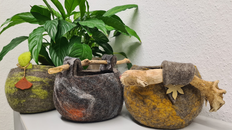 Drei Körbchen aus Filz vor Grünpflanze auf einem Schrank